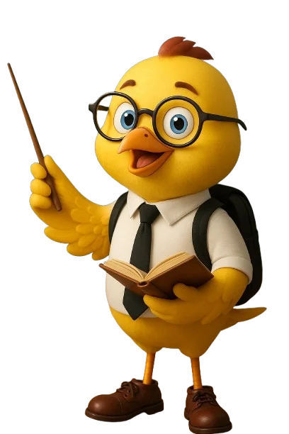 Teacher Student Ratio